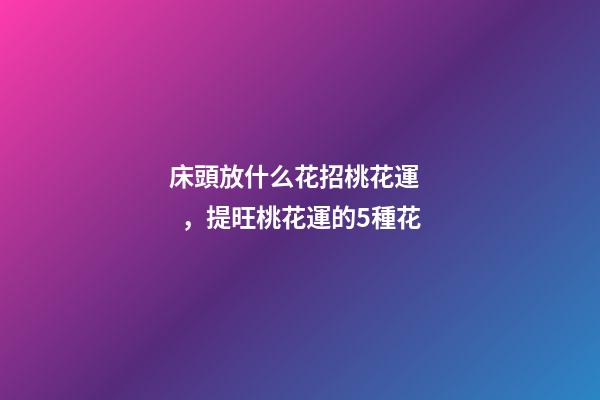 床頭放什么花招桃花運，提旺桃花運的5種花